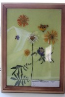 �����������