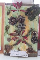 �����������