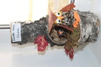 �����������